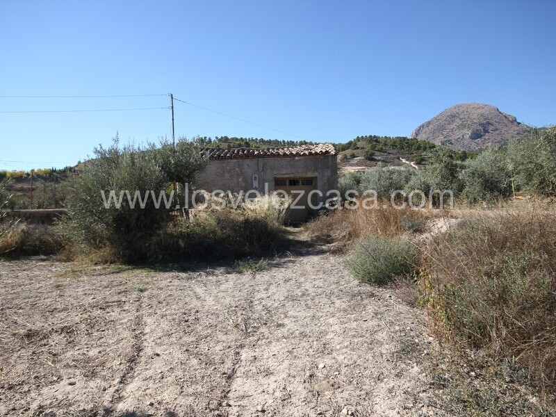 LVC506: Country Property to Reform for sale in Velez Blanco, Almería