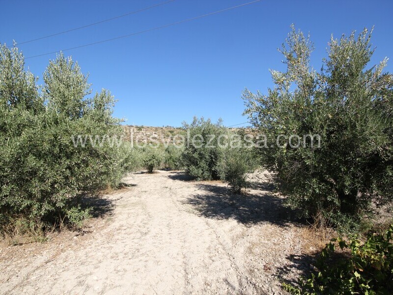 LVC506: Country Property to Reform for sale in Velez Blanco, Almería