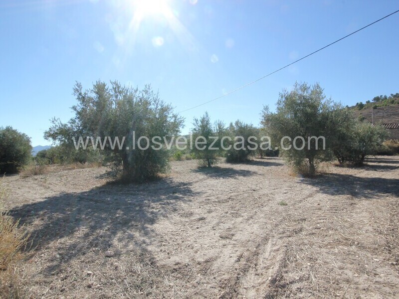 LVC506: Country Property to Reform for sale in Velez Blanco, Almería