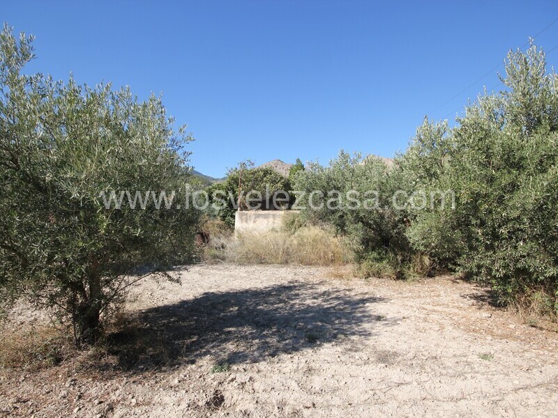 LVC506: Country Property to Reform for sale in Velez Blanco, Almería