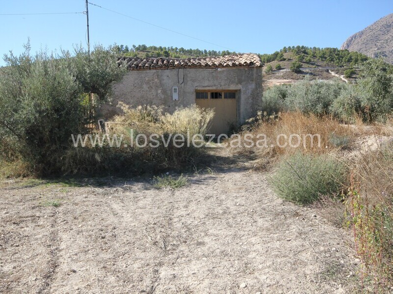 LVC506: Country Property to Reform for sale in Velez Blanco, Almería