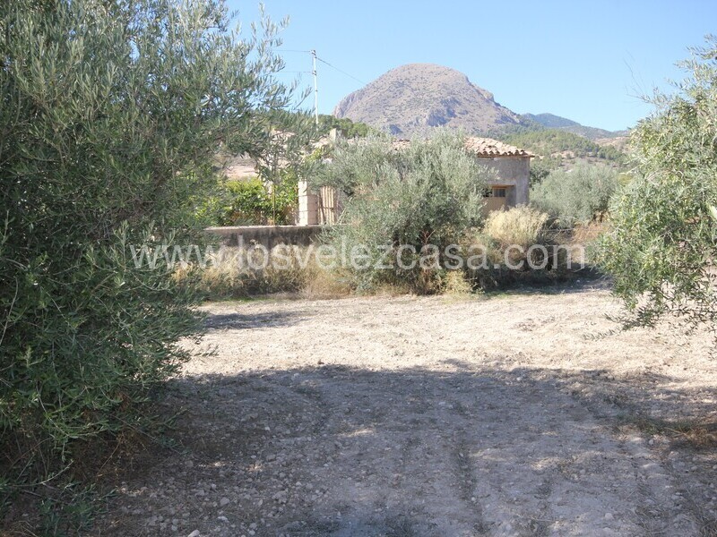 LVC506: Country Property to Reform for sale in Velez Blanco, Almería