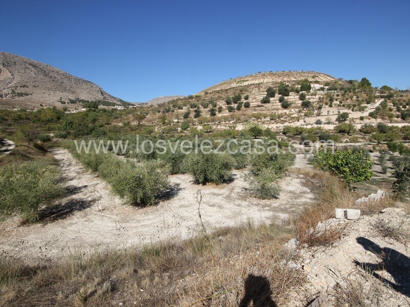 LVC507: Land for sale in Velez Blanco, Almería