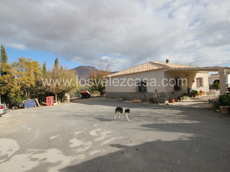 LVC510: Detached Character House for sale in Velez Blanco, Almería