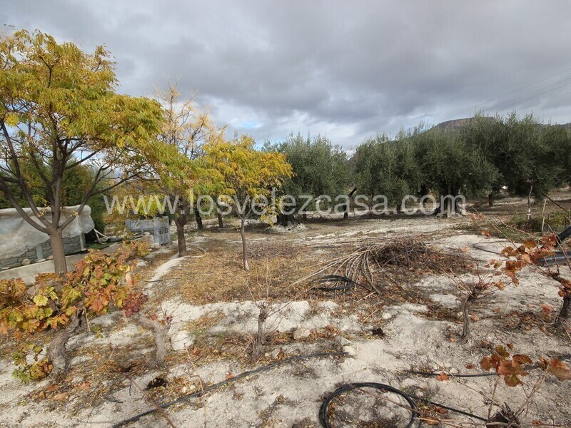 LVC510: Detached Character House for sale in Velez Blanco, Almería