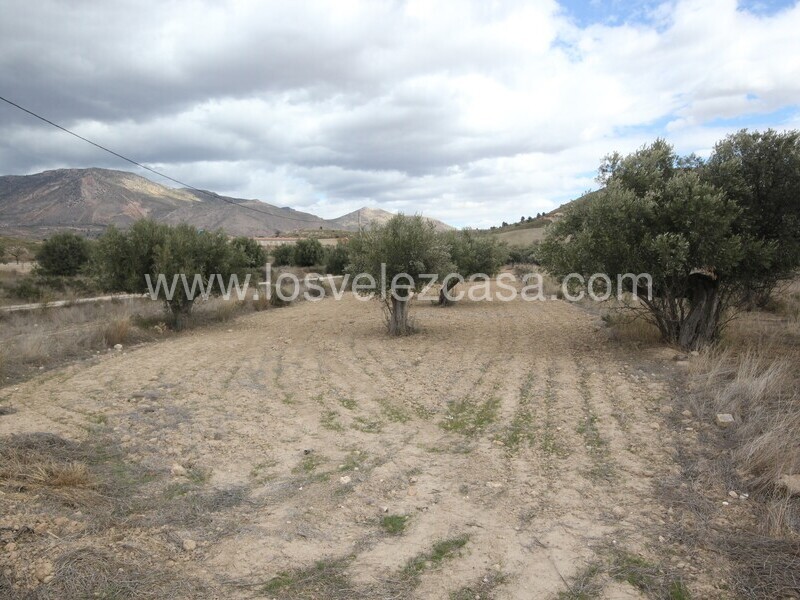 LVC514: Reformed Country Property for sale in Fontanares, Murcia