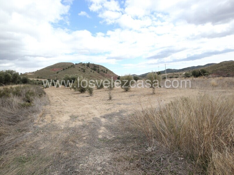 LVC514: Reformed Country Property for sale in Fontanares, Murcia