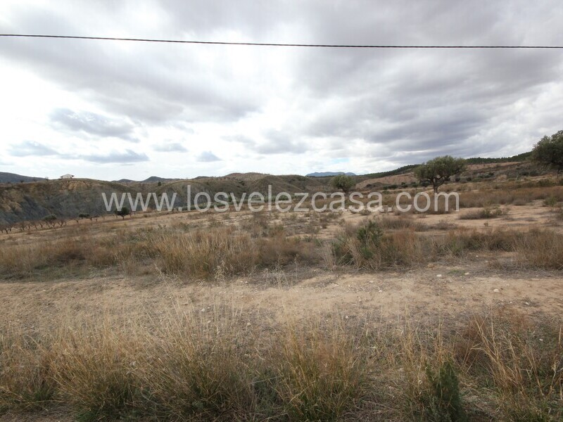 LVC514: Reformed Country Property for sale in Fontanares, Murcia