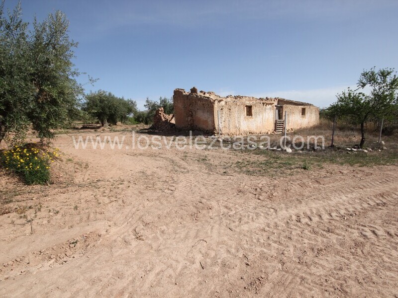 LVC516: Country Property to Reform for sale in Velez Rubio, Almería