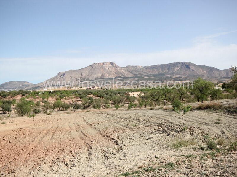 LVC516: Country Property to Reform for sale in Velez Rubio, Almería