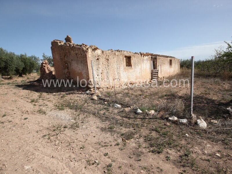 LVC516: Country Property to Reform for sale in Velez Rubio, Almería