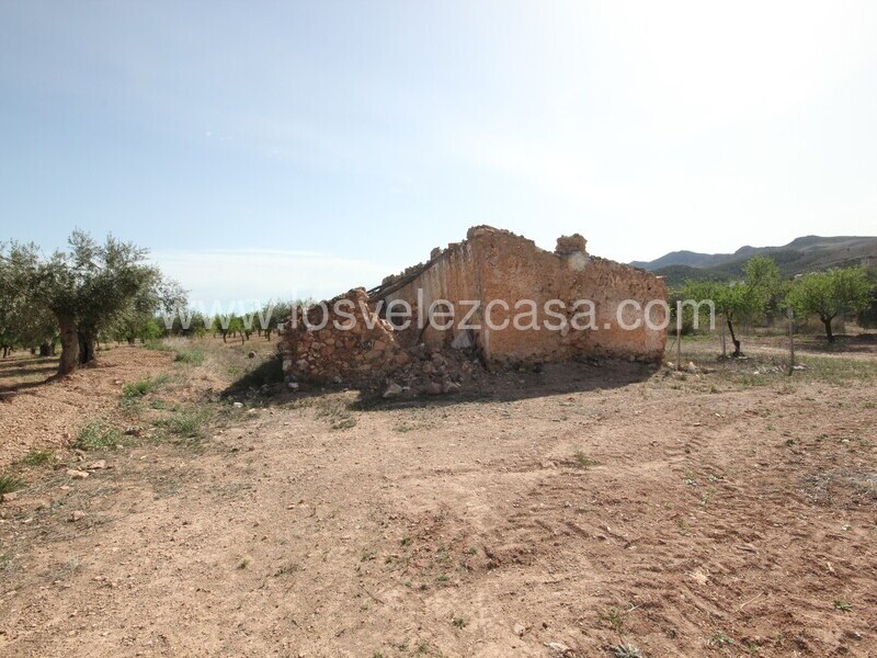 LVC516: Country Property to Reform for sale in Velez Rubio, Almería