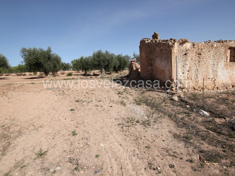 LVC516: Country Property to Reform for sale in Velez Rubio, Almería