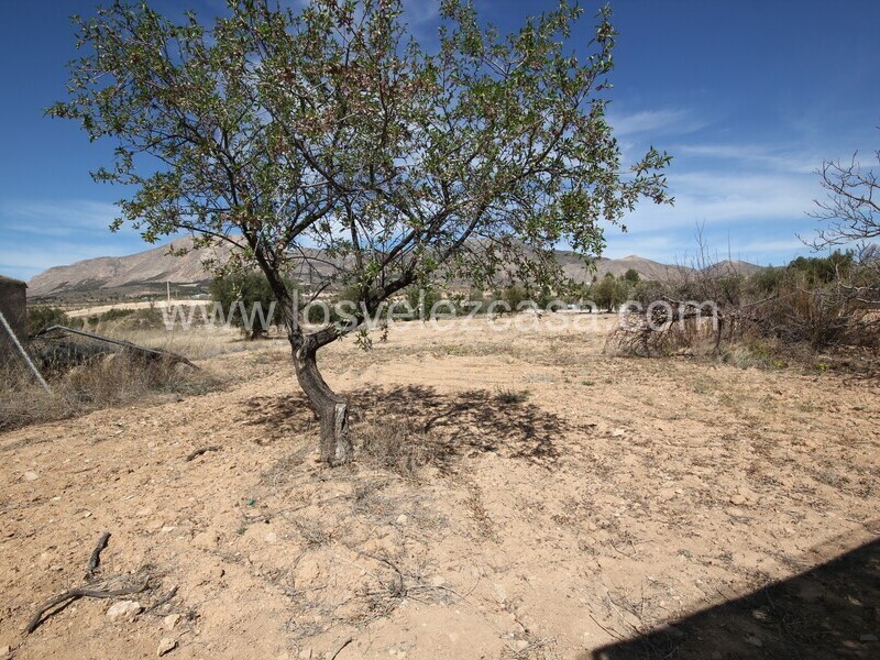 LVC520: Casa de Campo Adosada en venta en El Jardin, Almería