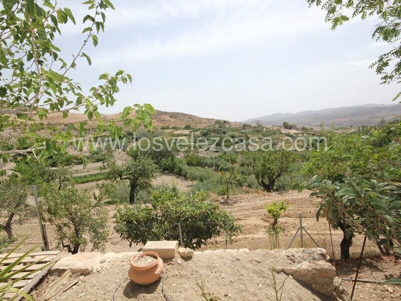 LVC522: Country Estate for sale in Fontanares, Murcia