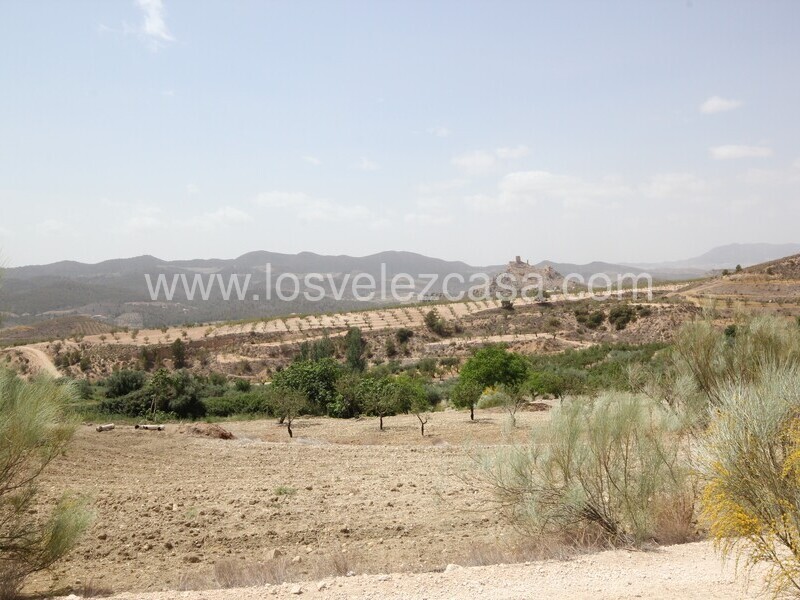 LVC522: Country Estate for sale in Fontanares, Murcia