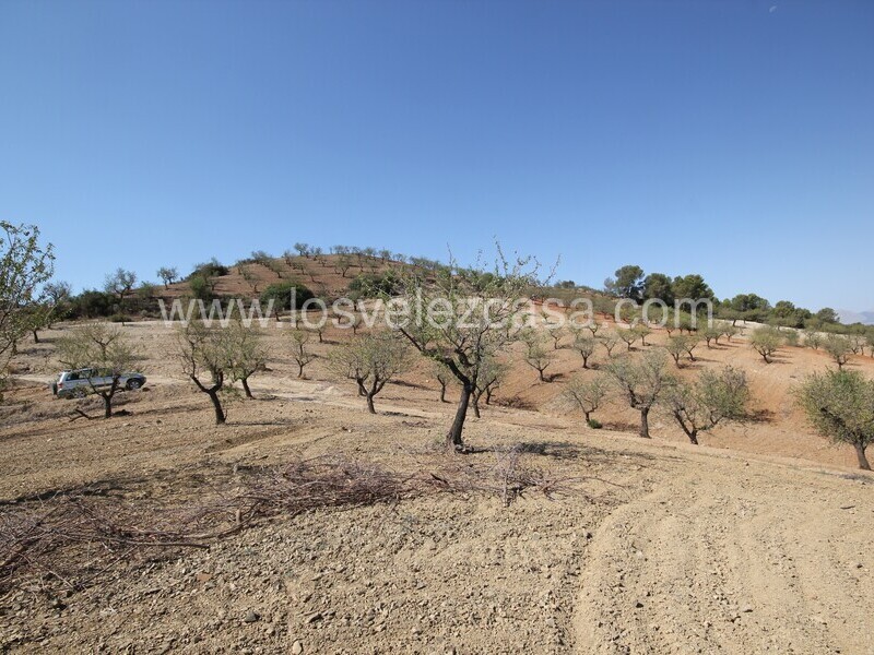 LVC526: Country Estate for sale in La Parroquia, Murcia