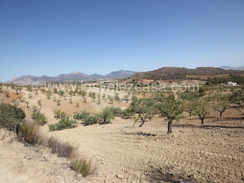 LVC526: Country Estate for sale in La Parroquia, Murcia