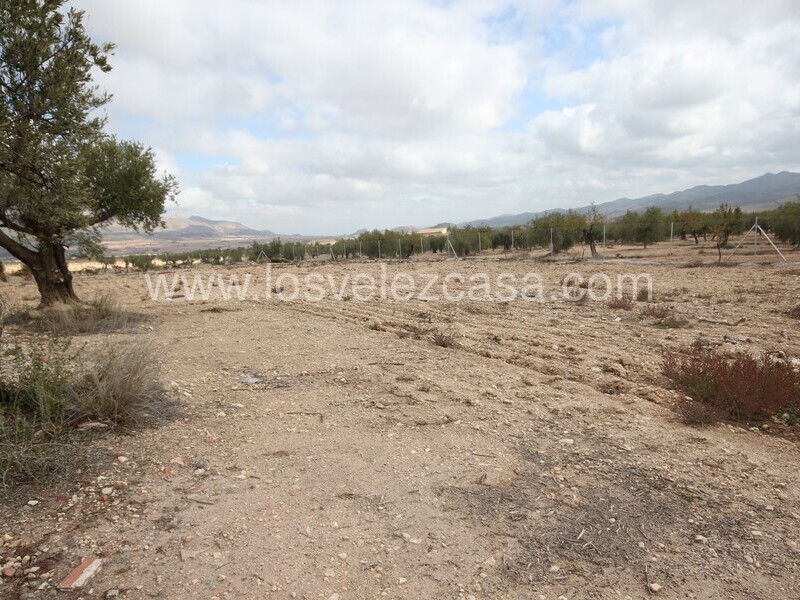 LVC528: Country Estate for sale in Velez Rubio, Almería