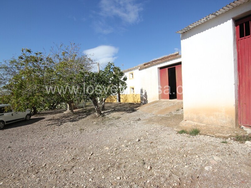 LVC529: Small Holding for sale in Fontanares, Murcia