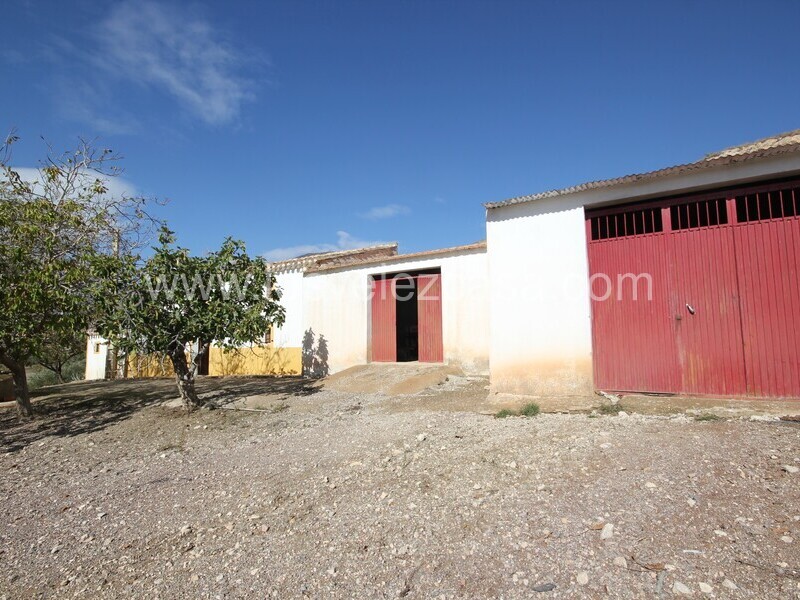 LVC529: Small Holding for sale in Fontanares, Murcia