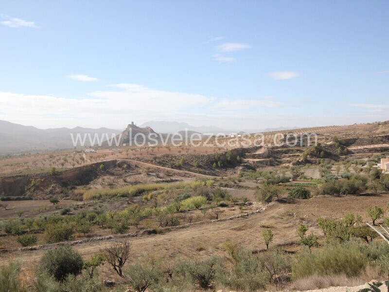 LVC529: Small Holding for sale in Fontanares, Murcia