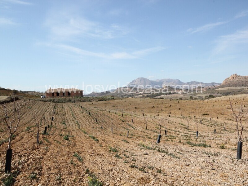 LVC532: Off Plan Villa for sale in Fontanares, Murcia