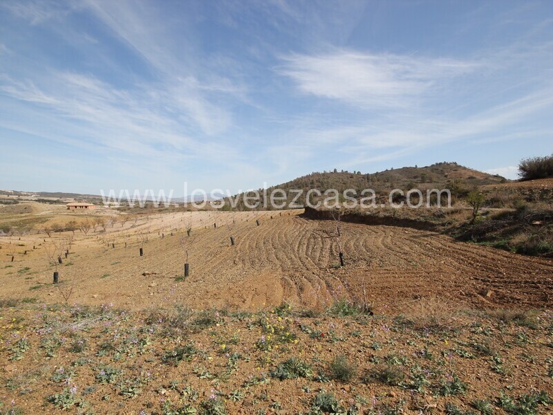 LVC532: Off Plan Villa for sale in Fontanares, Murcia