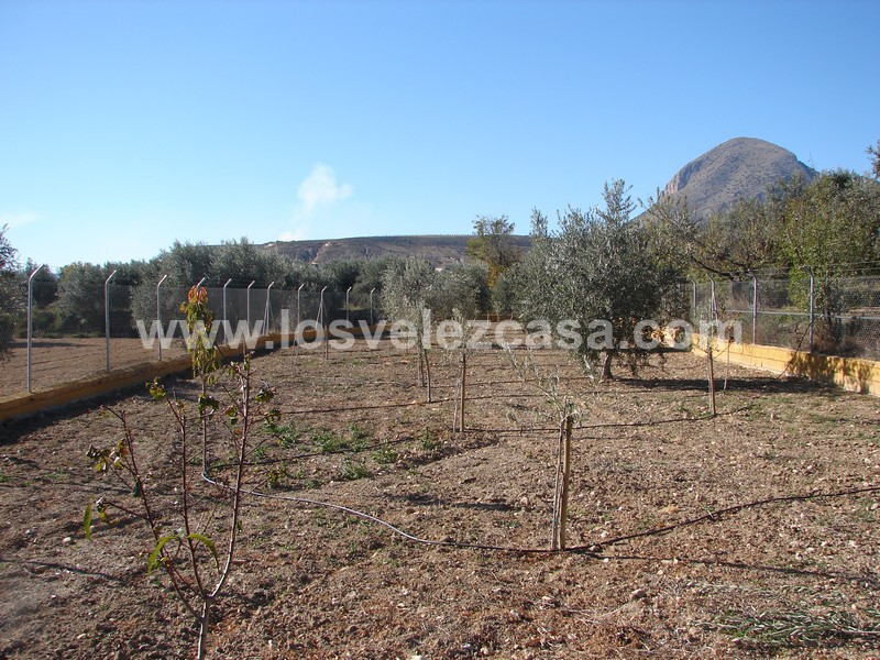 LVC90: Reformed Country Property for sale in Velez-Blanco, Almería