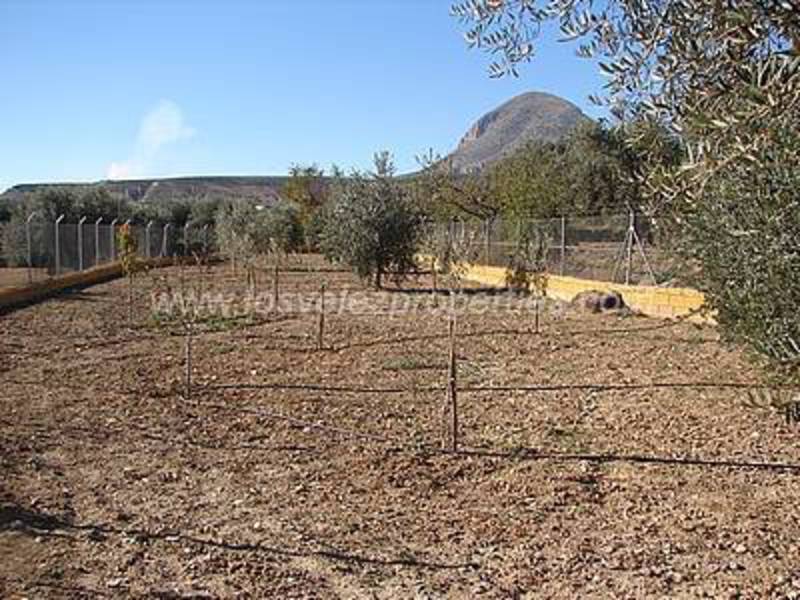 LVC90: Reformed Country Property for sale in Velez-Blanco, Almería